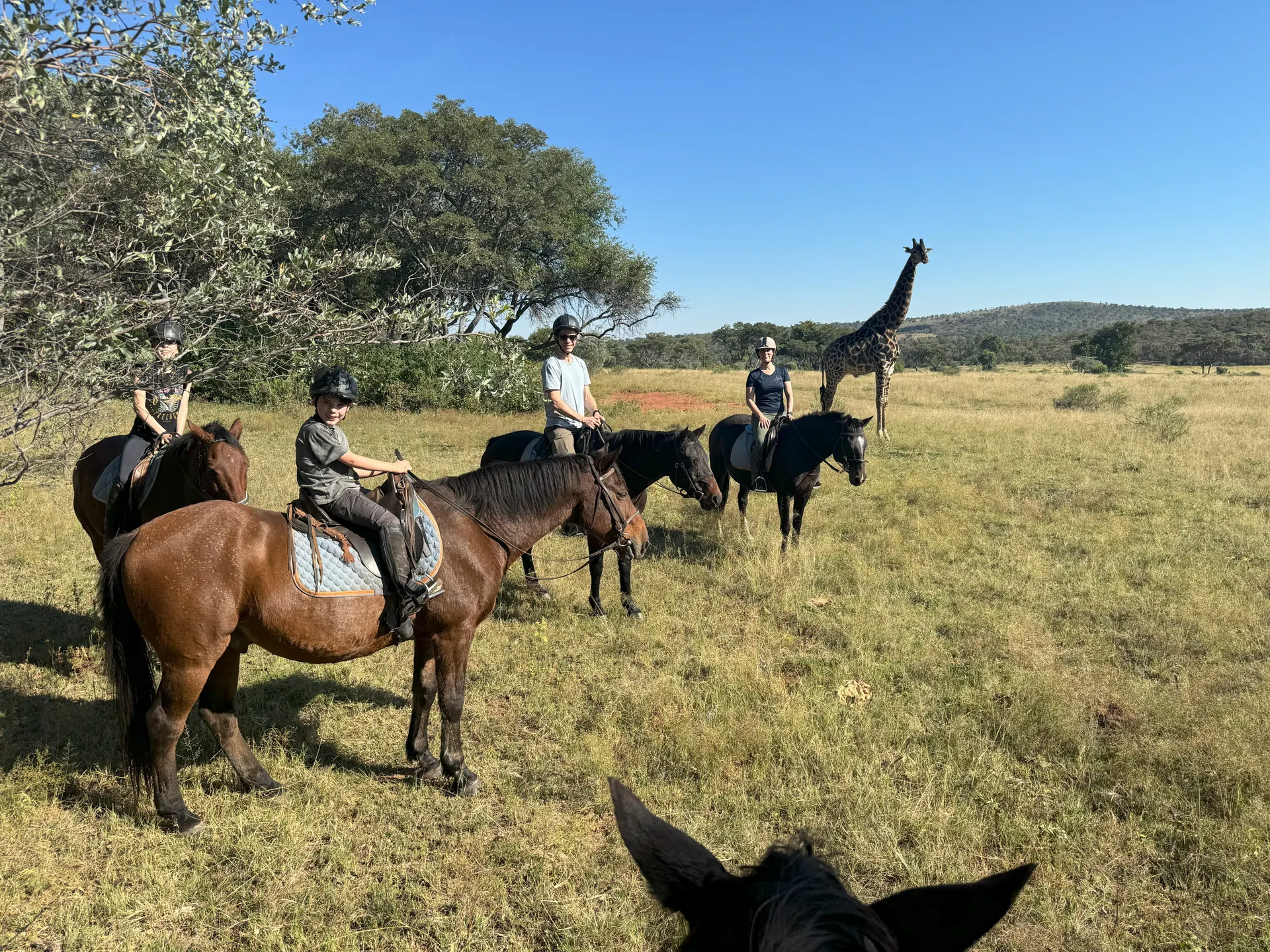 Paardrijsafari in Zuid Afrika
