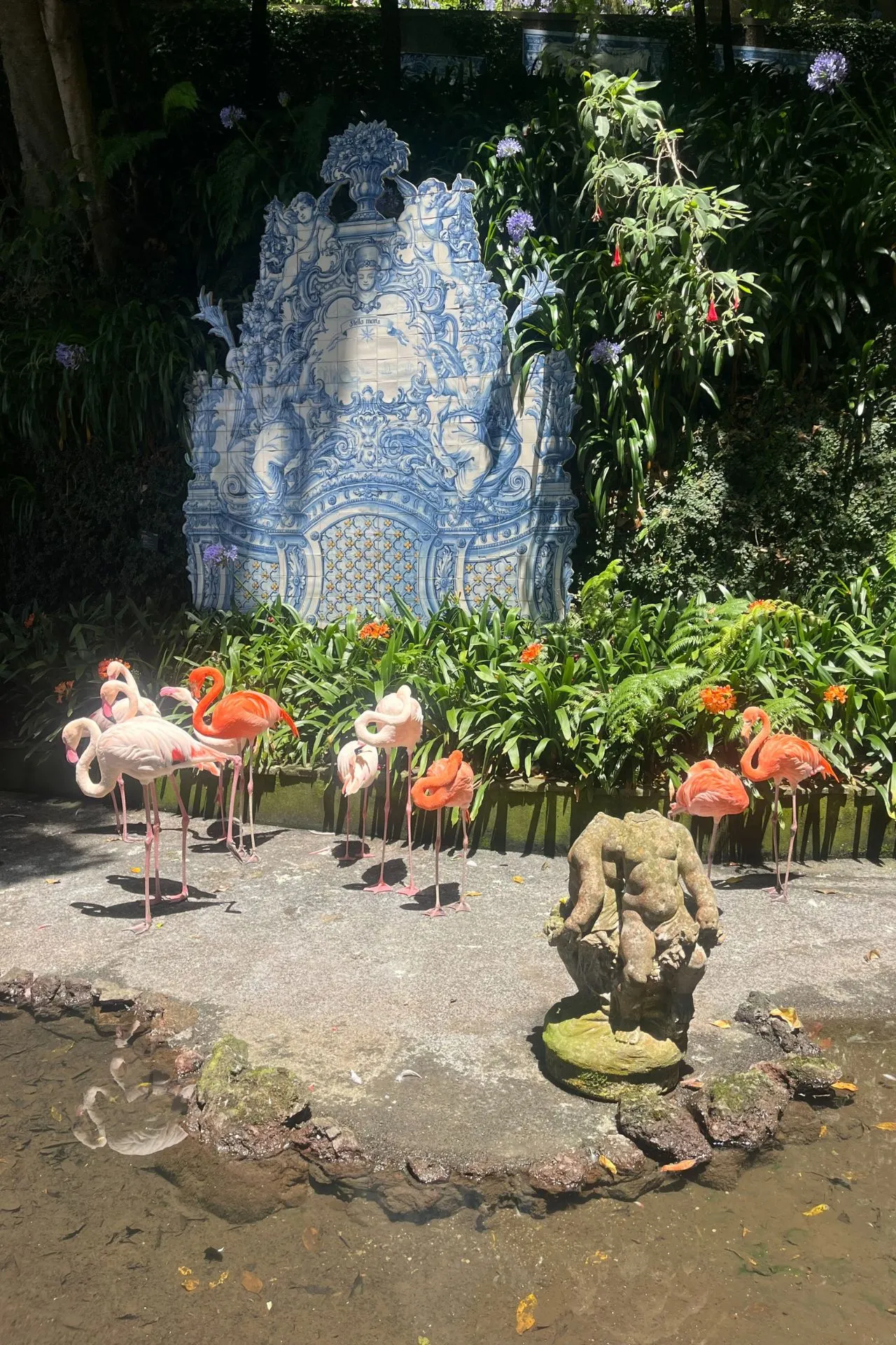 Flamingo’s bij een vijver in een tuin in Funchal, met een blauw-wit tegelmozaïek op de achtergrond.