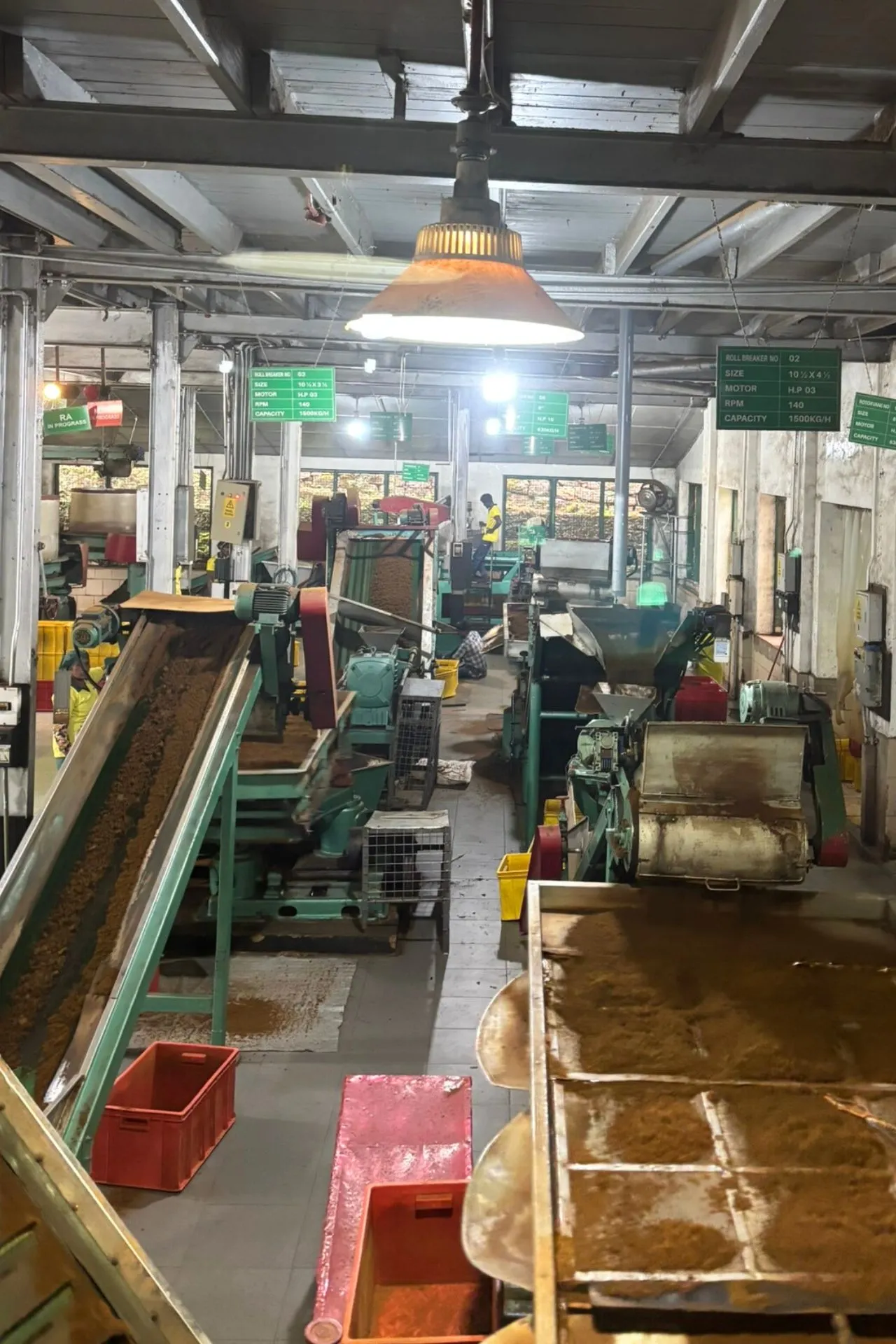 Binnenzicht van een theefabriek waar thee verwerkt wordt. Diverse machines en transportbanden zijn in werking, met bakken op de vloer en bordjes met technische specificaties boven de apparaten. Er hangt industrieel licht van boven.