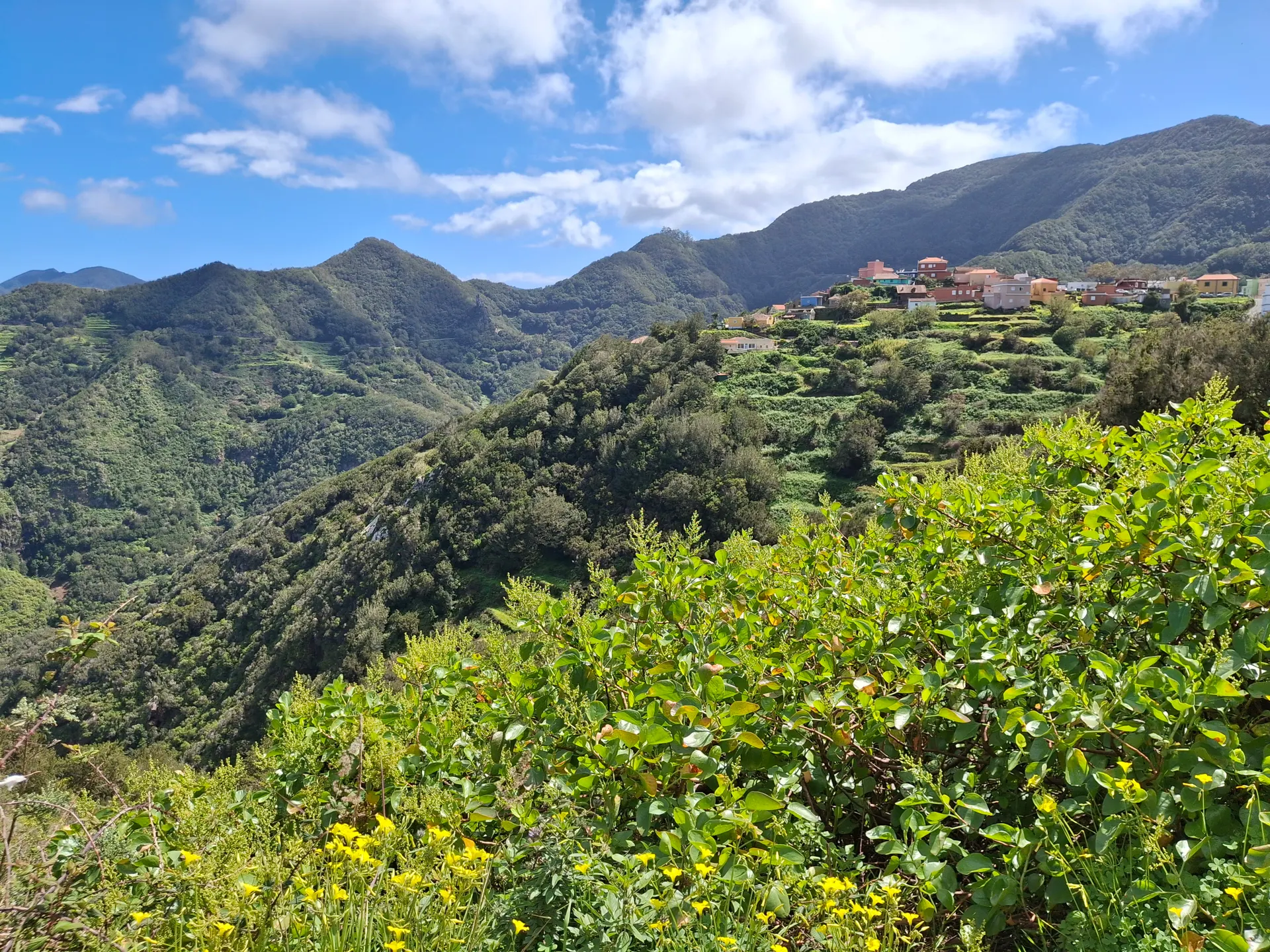 Nationaal Park Rural de Anaga op Tenerife, met weelderig groen en bergen in de achtergrond.