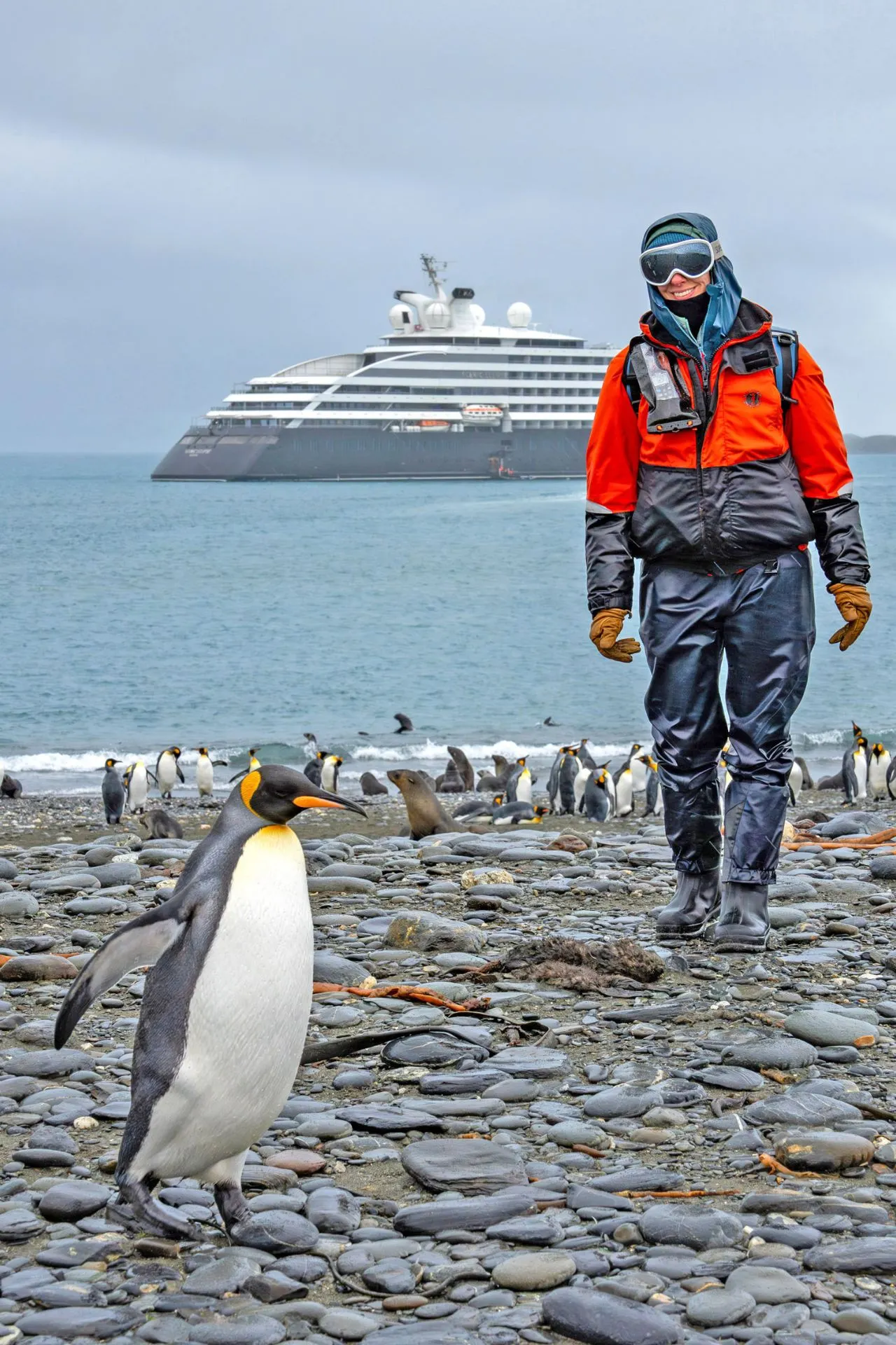 Een avontuurlijke scène aan een ruige kust vol pinguïns, met een modern expeditieschip dat voor anker ligt in het ijzige water. De natuur is overweldigend en laat zien hoe uniek een luxe zeecruise kan zijn in afgelegen gebieden. De mix van wildlife, ruige landschappen en het comfortabele schip benadrukt de bijzondere kwaliteit die luxe cruise maatschappijen bieden tijdens deze exclusieve ontdekkingsreizen.
