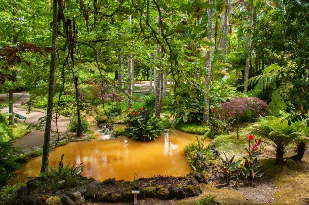 Sao Miguel-Furnas