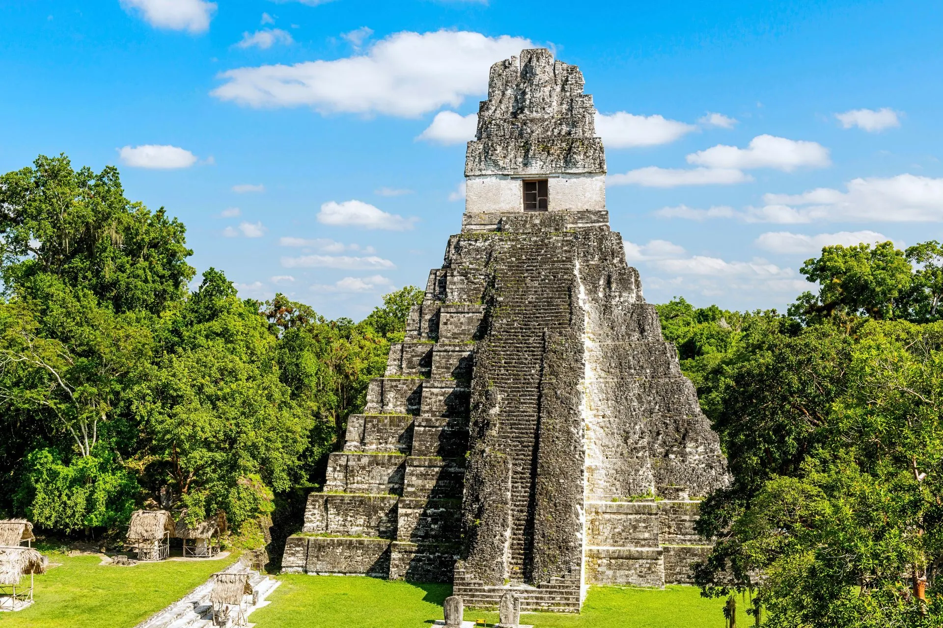 Maya‑tempel in Tikal die hoog boven de jungle uitsteekt, een van de bekendste archeologische plekken van Guatemala.