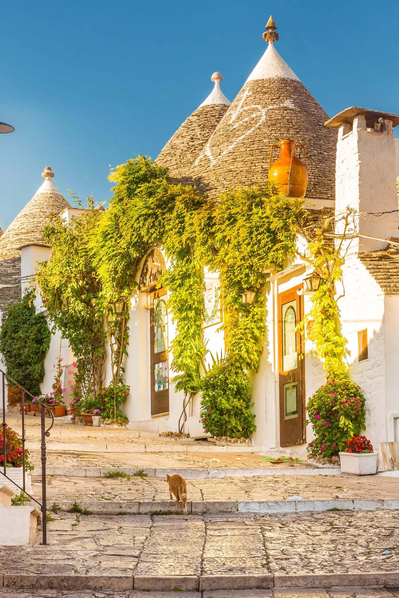 "Authentieke trulli-huizen in Alberobello, Puglia, Italië, met traditionele kegelvormige daken, witte muren en weelderige groene klimop. Deze UNESCO-werelderfgoedlocatie is een populaire toeristische bestemming in Zuid-Italië, bekend om zijn pittoreske straatjes, mediterrane sfeer en historische architectuur. Perfect voor een vakantie in Puglia, ontdek charmante accommodaties, cultuur, gastronomie en zonovergoten landschappen."