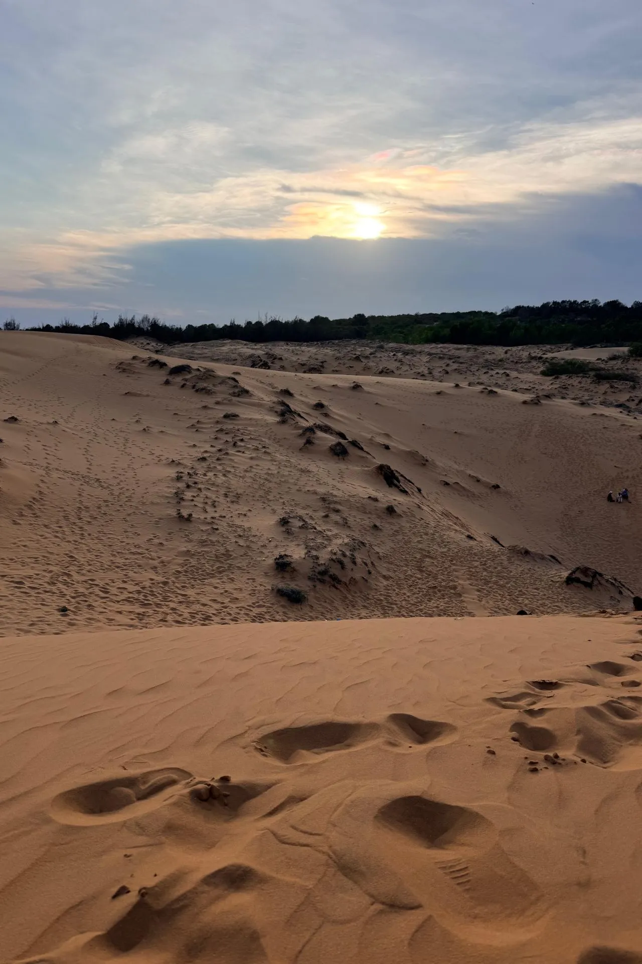 Uitgestrekt duinlandschap in Mui Ne tijdens zonsondergang. Het zachte licht en de glooiende zandheuvels creëren een bijzonder decor dat doet denken aan een woestijn. De rode en witte zandduinen van Mui Ne zijn een van de meest iconische natuurgebieden van Vietnam.