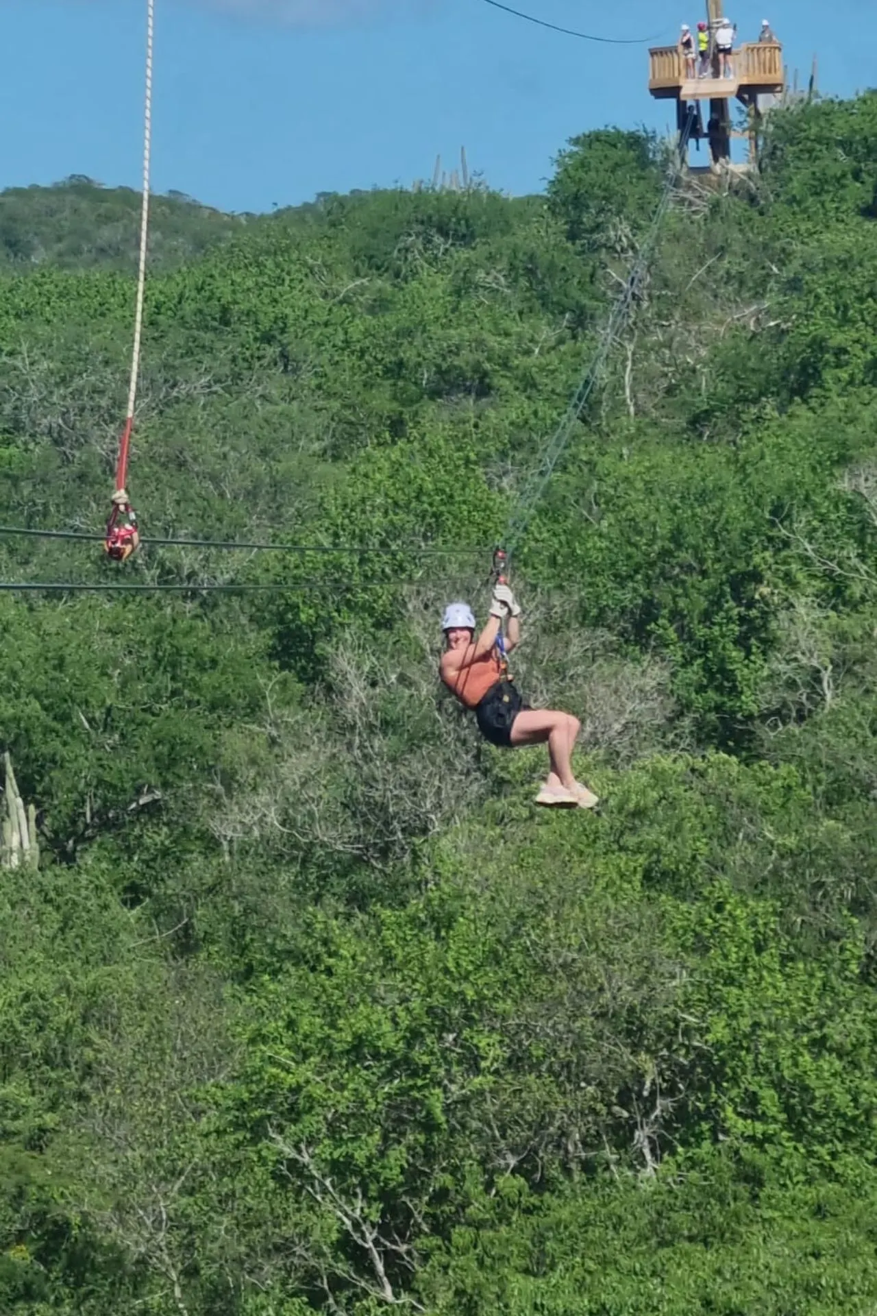 Een avontuurlijke zipline-ervaring midden in de groene natuur van Curaçao. De kabel loopt vanaf een houten platform boven op een heuvel en strekt zich uit over een dichtbegroeid landschap vol tropische planten en cactussen. De heldere blauwe lucht en de warme zon zorgen voor een perfecte dag vol adrenaline en natuurpracht, ideaal voor wie het eiland op een actieve manier wil ontdekken.