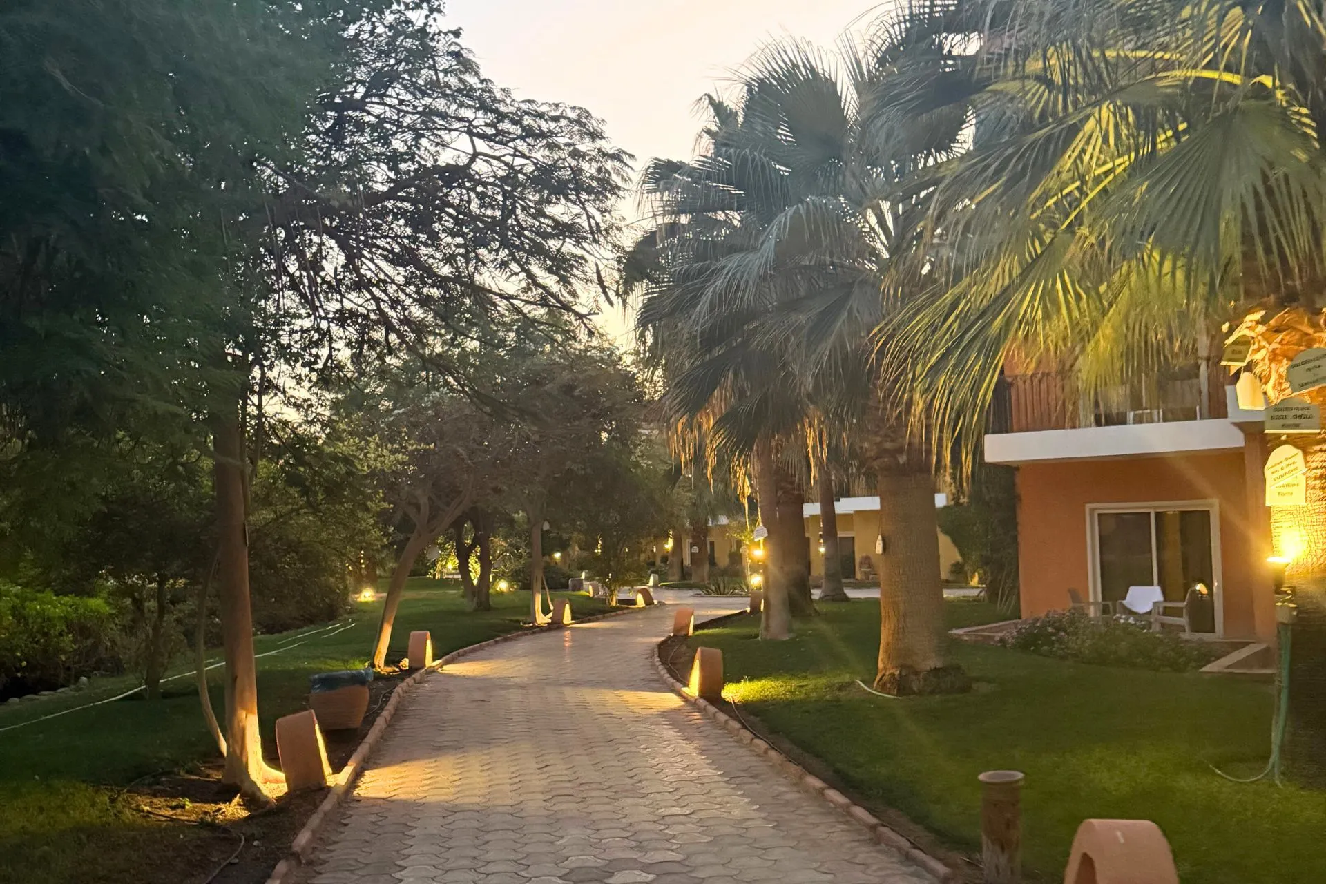 Verlicht tuinpad omringd door palmbomen en groene struiken, met aangrenzende hotelkamers in een tropische setting bij schemerlicht.
