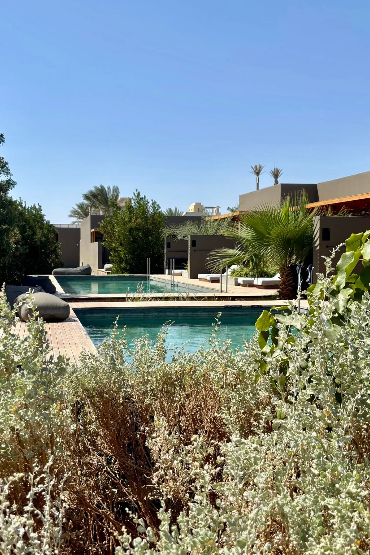 Zwembad en moderne architectuur bij een resort in El Gouna omgeven door palmbomen en groen