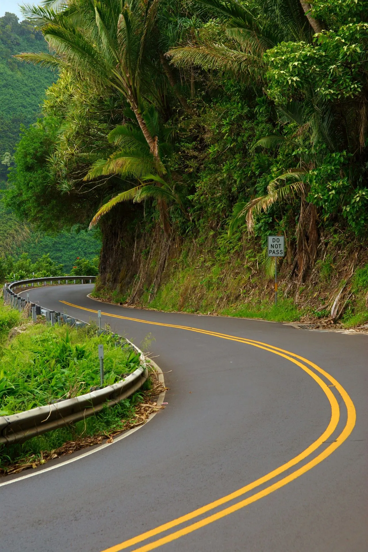 Een kronkelende weg omringd door weelderige tropische vegetatie langs de beroemde Road to Hana op Maui.