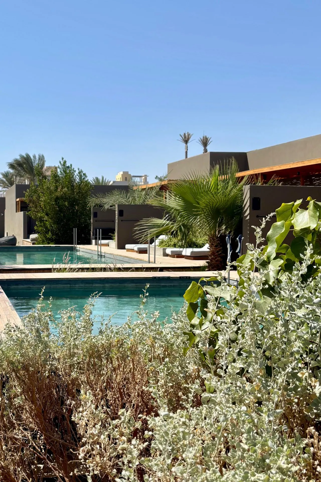 Bohemian lounge ruimte van Casa Cook El Gouna met houten overkapping en relaxte zitplaatsen
