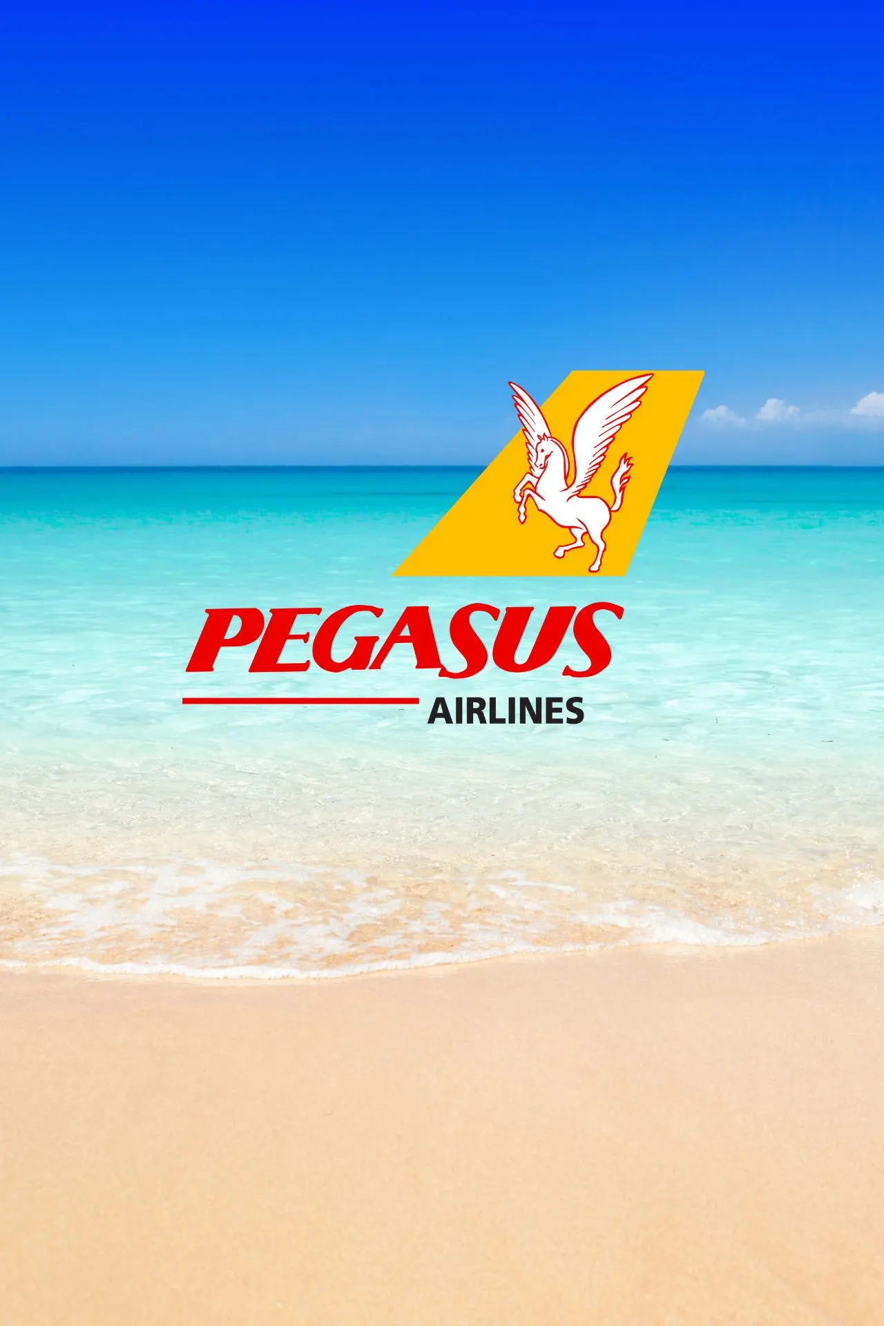 Boek een vlucht met Pegasus Airlines bij Travelcenter de Wit.