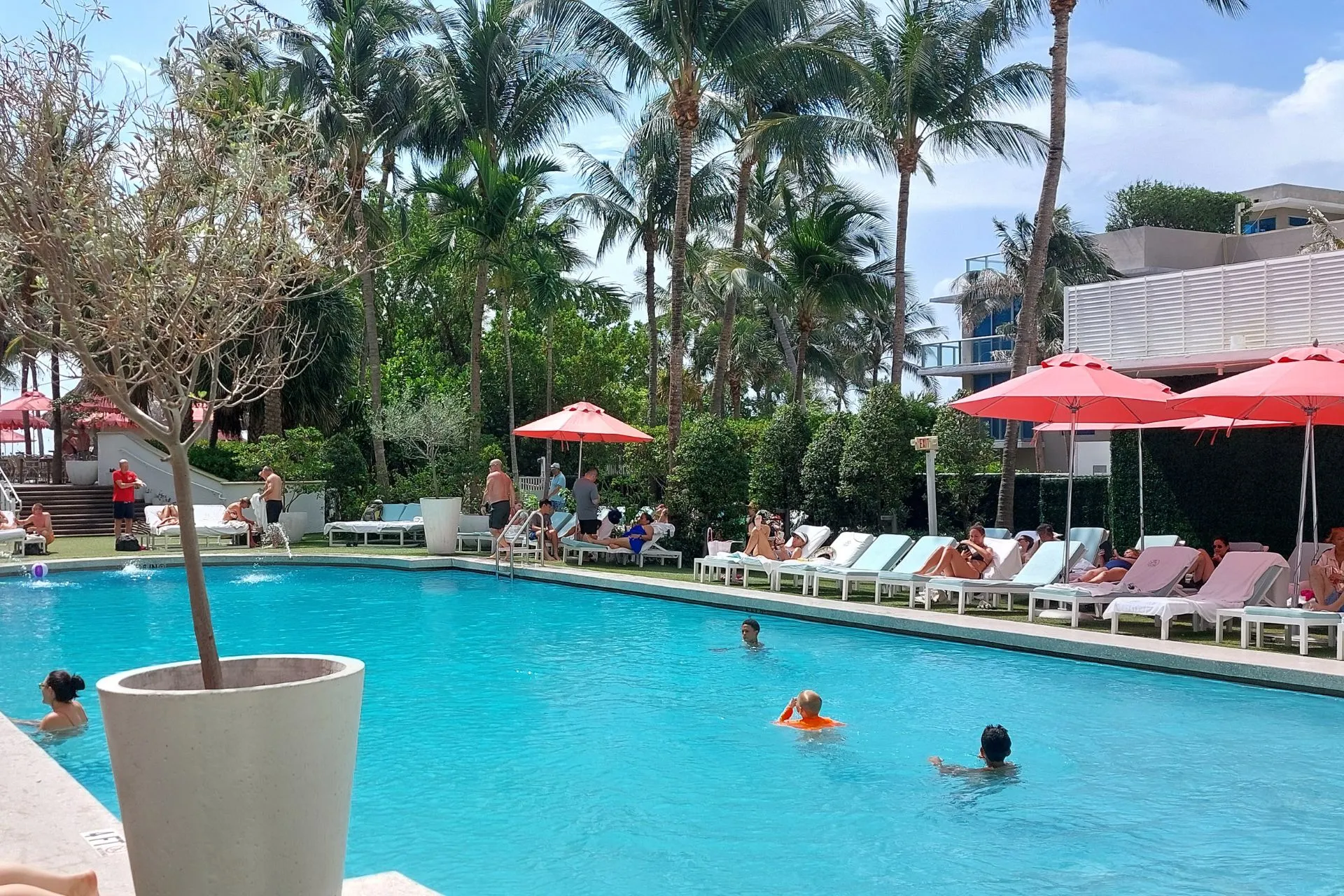 Zwembad bij het Riu Plaza Miami Beach hotel, omringd door palmbomen en ligbedden, met een uitzicht op de oceaan in de verte.