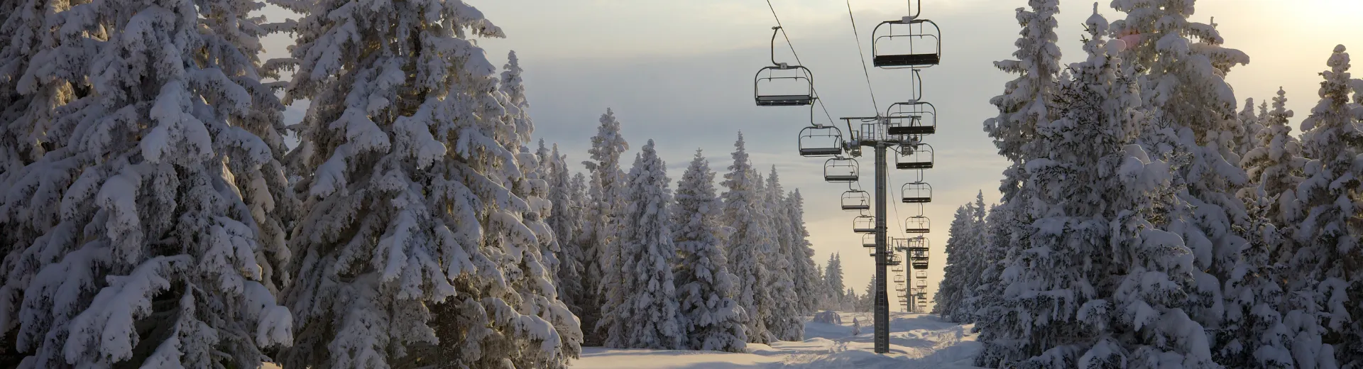 Sneeuwlandschap met een rij besneeuwde dennenbomen en een lege skilift die boven een besneeuwd pad zweeft, onder een zacht verlichte winterlucht bij zonsopgang of zonsondergang.