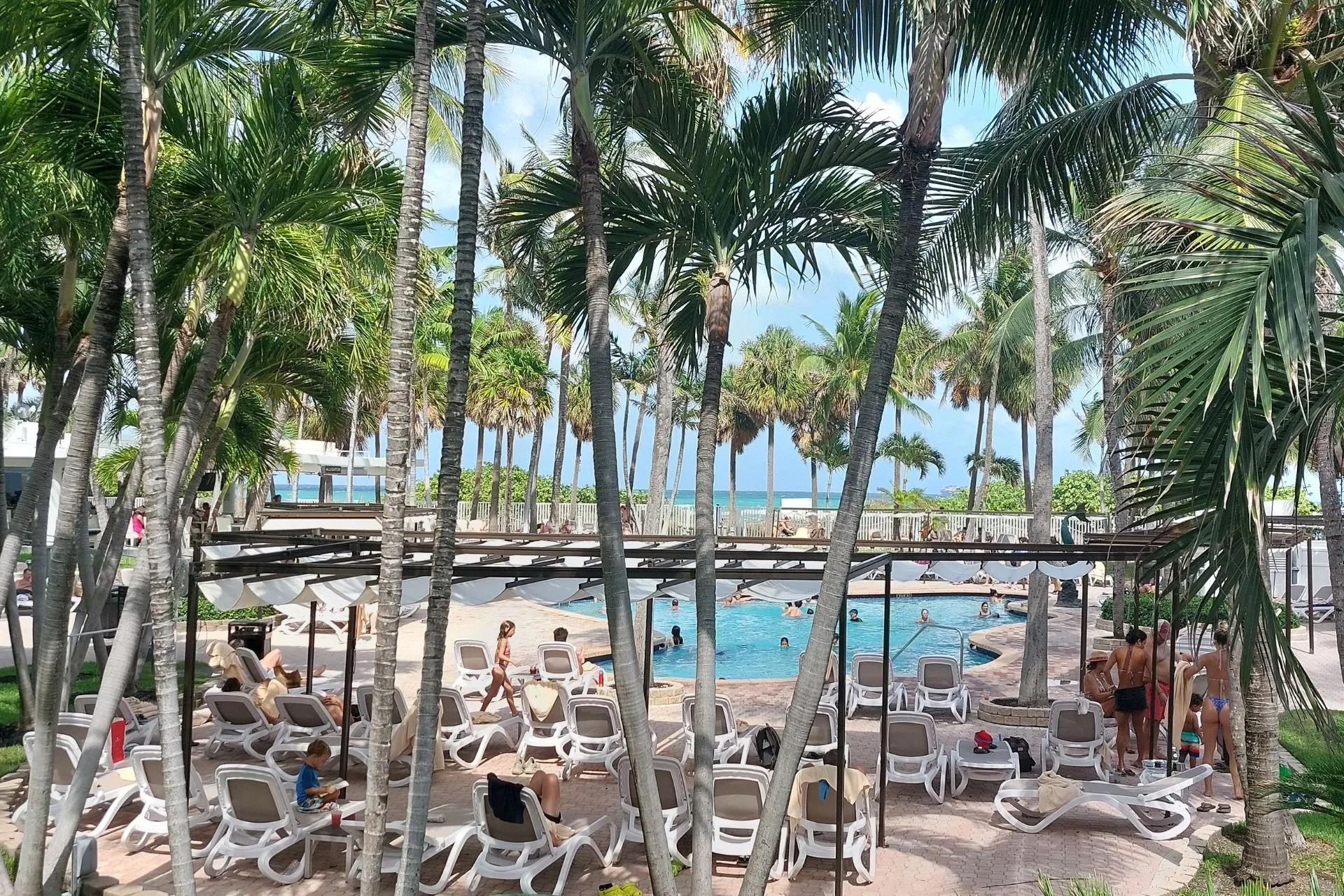 Zwembad bij Riu Plaza Miami Beach, met ligbedden, rode parasols en palmbomen, en gasten die ontspannen in en rondom het water.