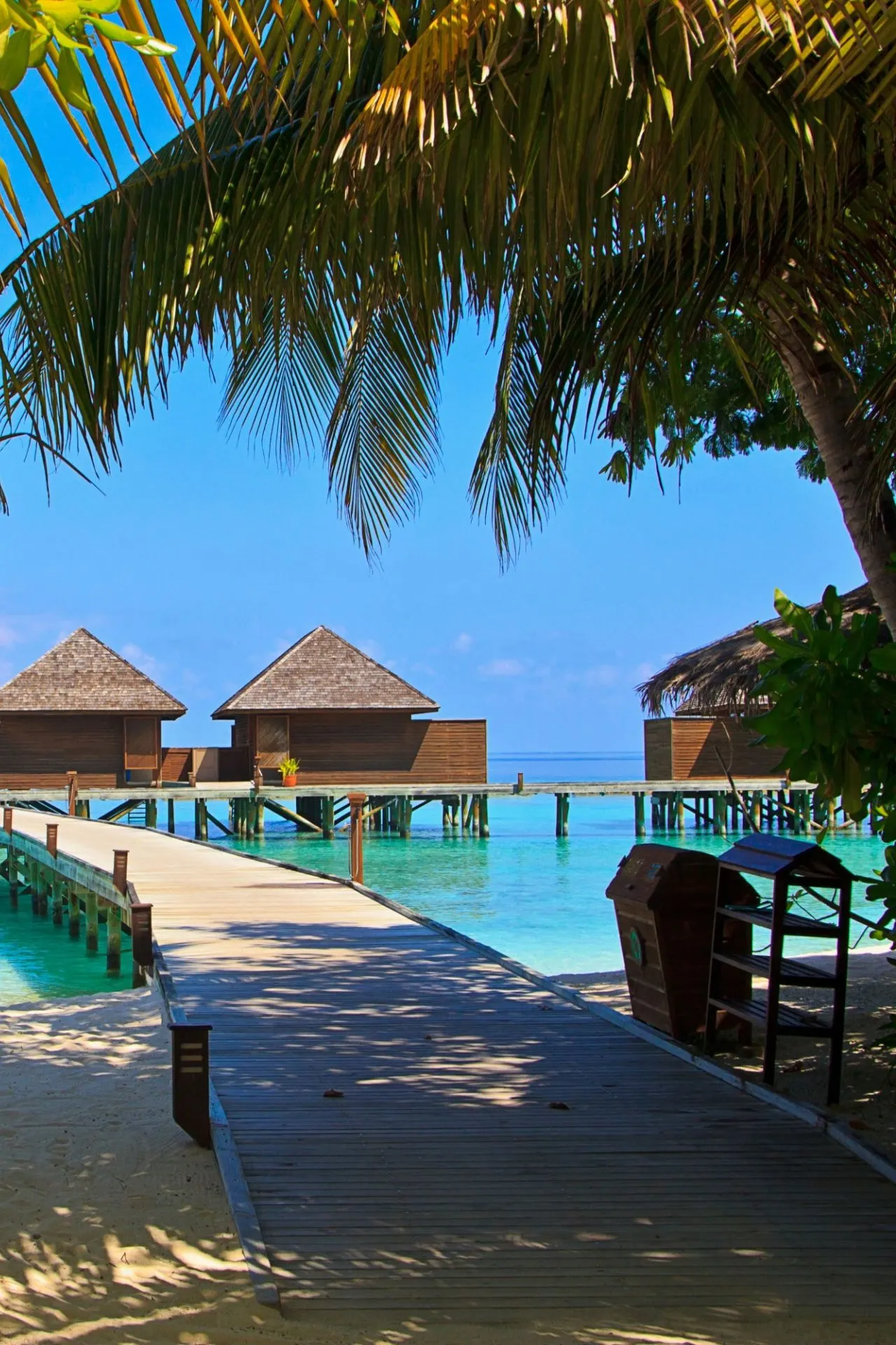 Een tropisch strandresort met houten bungalows op palen boven helderblauw water. Een houten loopbrug leidt vanaf het zandstrand naar de overwater bungalows. Groene palmbladeren hangen bovenaan de afbeelding, en de lucht is helderblauw