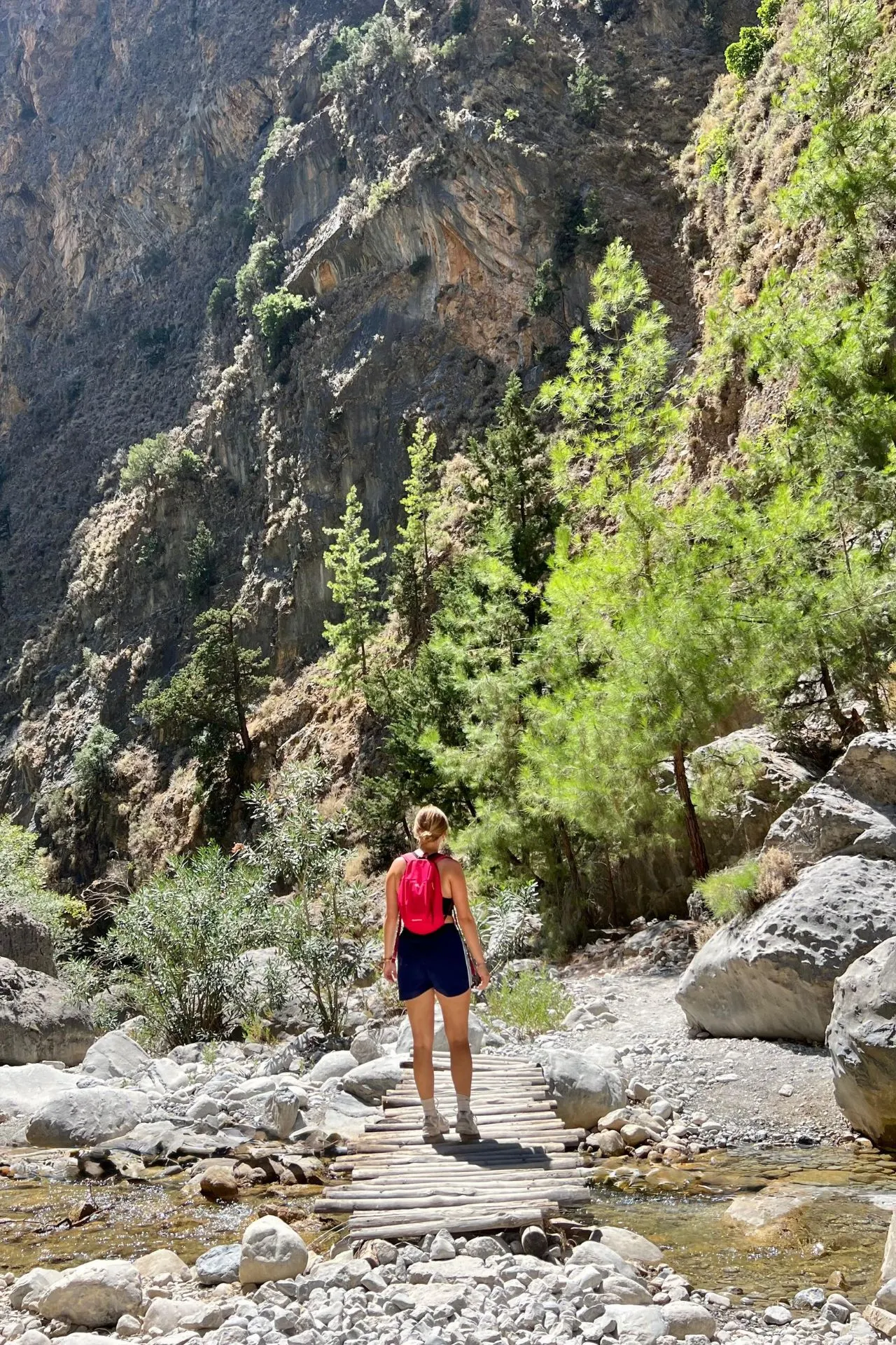 Vrouw met roze rugzak loopt over een houten brug over een beekje in de Samariakloof, omringd door groene bomen en ruige bergwanden.