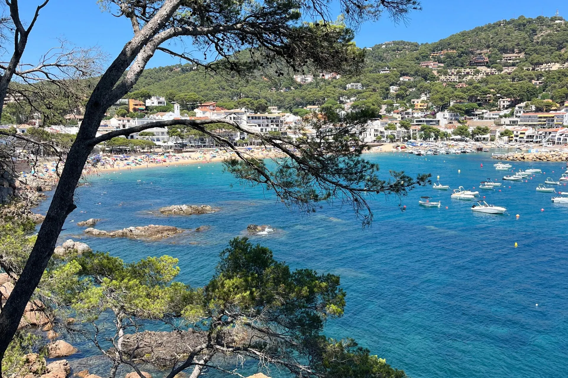 Uitzicht op een baai met helderblauw water en witte gebouwen langs de kust, omringd door groene heuvels. In de zee liggen meerdere kleine boten en rotsen, terwijl op de voorgrond pijnbomen zichtbaar zijn onder een strakke blauwe lucht.