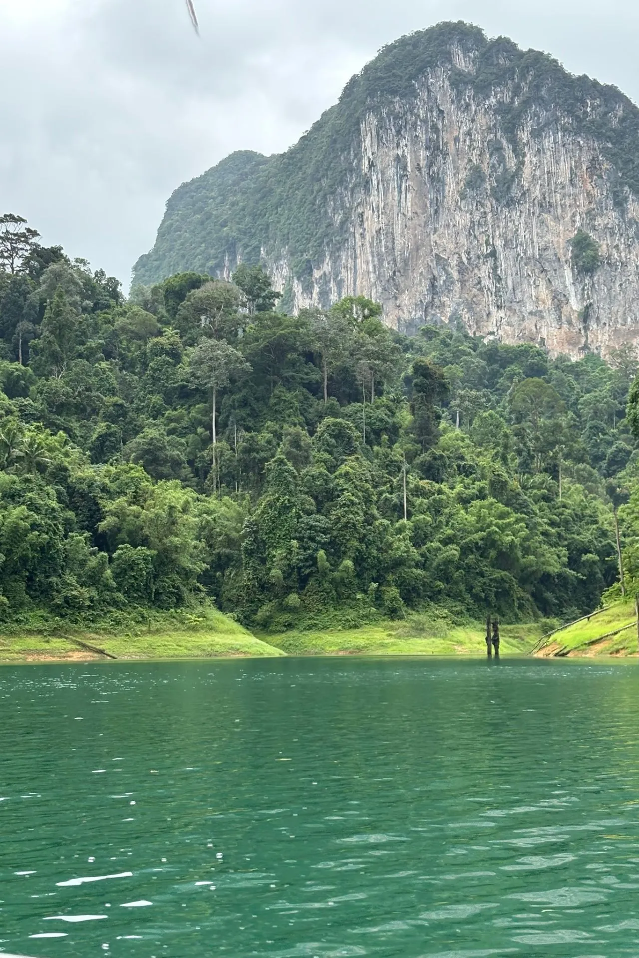 Indrukwekkende kalksteenkliffen bedekt met weelderige jungle, oprijzend boven het smaragdgroene water van Cheow Lan Lake in Khao Sok National Park.