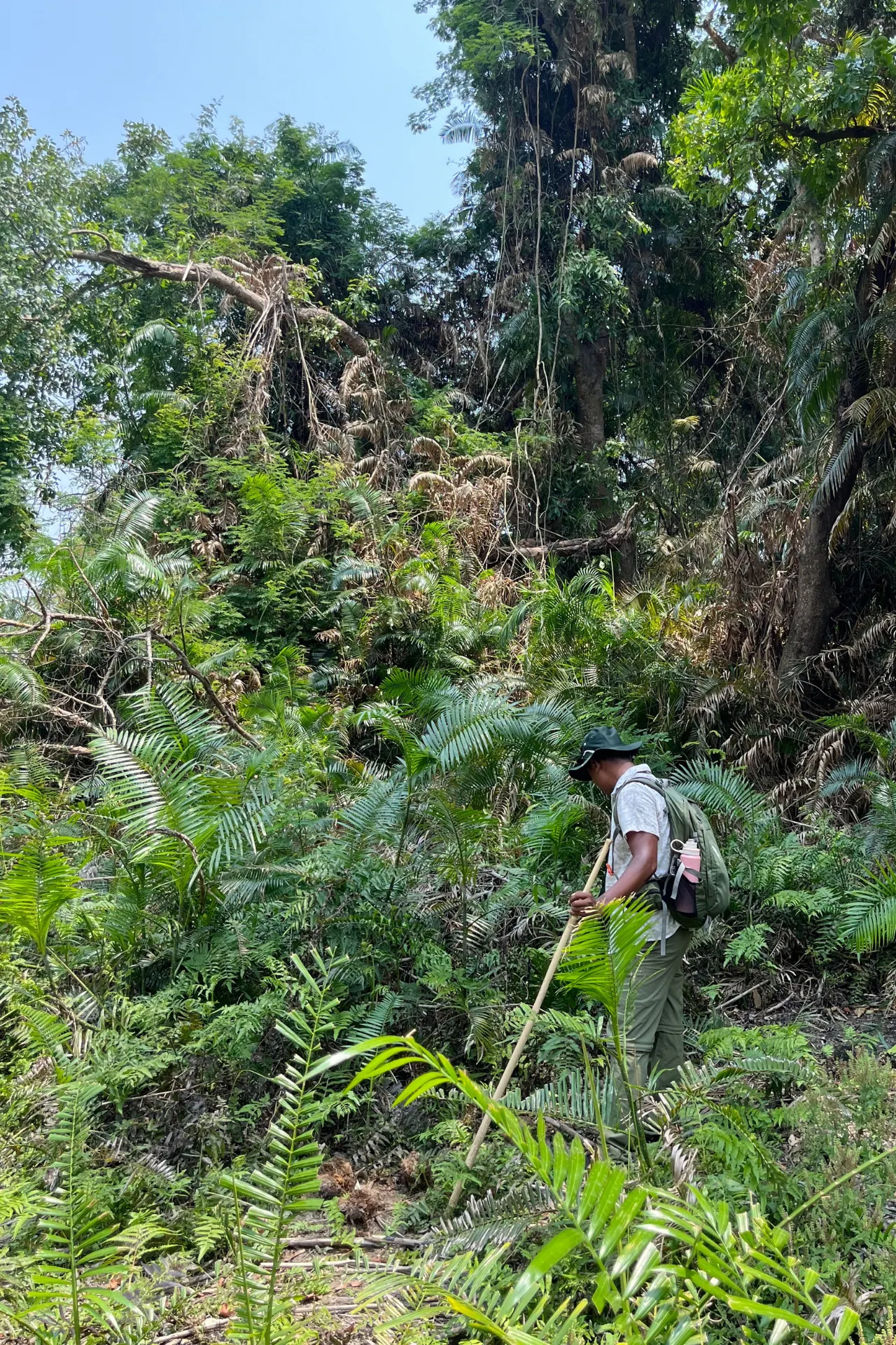 Natuurfoto Nepal van Studiereis Martje