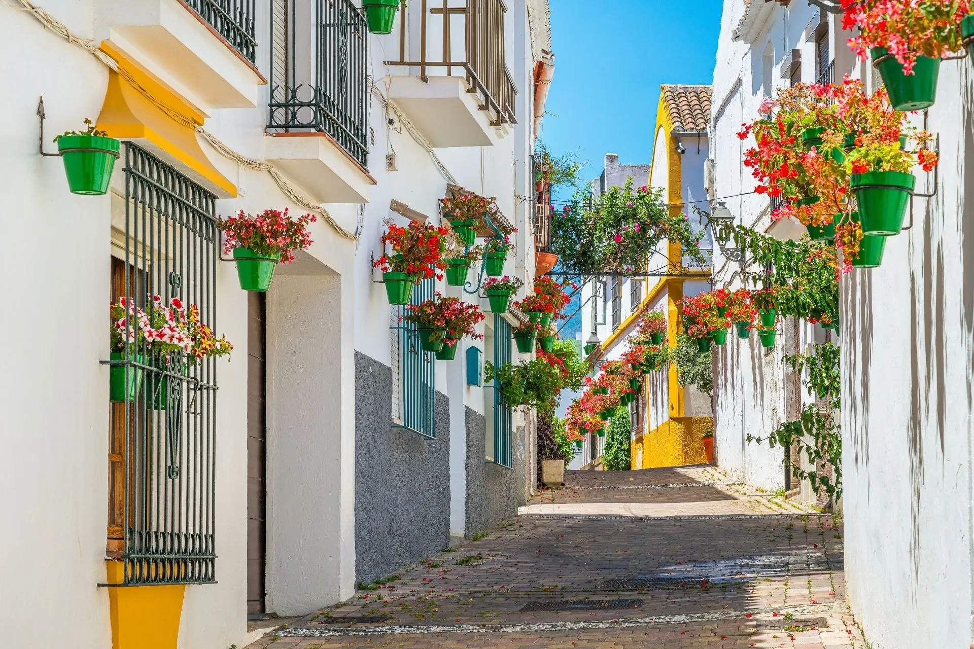 Een kleurrijke, typisch Andalusische straat vol witgekalkte huizen met groene bloempotten en levendige bloemen die langs de gevels hangen. Het smalle, licht stijgende straatje creëert een intiem en sfeervol doorkijkje, waarbij de contrasten tussen wit, geel en rood zorgen voor een vrolijke uitstraling. De warme ambiance en authentieke details benadrukken de charme van traditionele wijken in Malaga in Spanje.