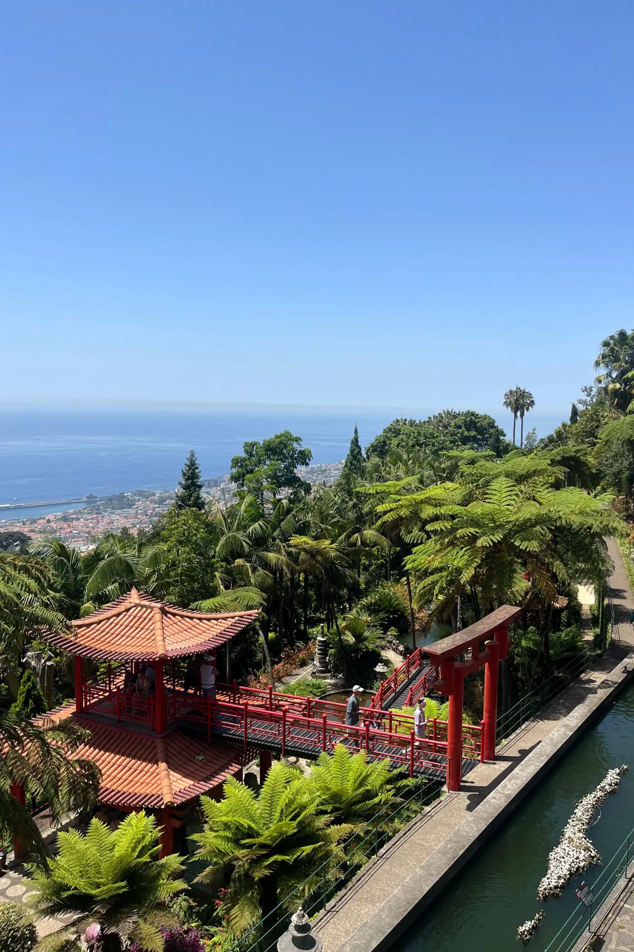 Traditionele Japanse tuin in Funchal met rood paviljoen en brug, omringd door weelderige planten en uitzicht op de oceaan.