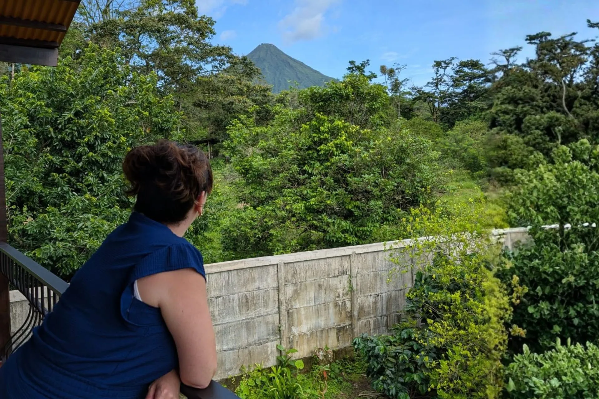 Uitzicht vanaf een accommodatie in La Fortuna over de groene natuur van Costa Rica, met de indrukwekkende Arenal-vulkaan op de achtergrond. Deze regio staat bekend om haar tropische landschap, avontuurlijke activiteiten en unieke combinatie van natuur en wildlife.