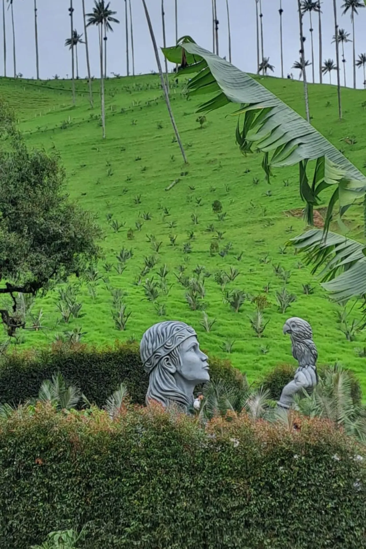 Twee grote artistieke bustes in een groene vallei met palmbomen en heuvels op de achtergrond, gedeeltelijk omringd door struiken en tropische vegetatie.
