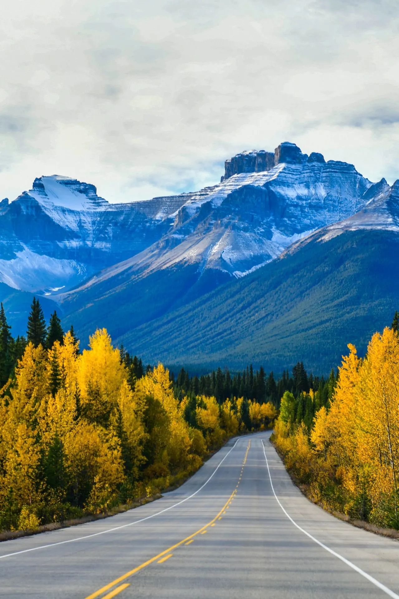 Een lange weg omgeven door bomen langs de zijkanten, met de majestueuze bergen van Canada in de verte.