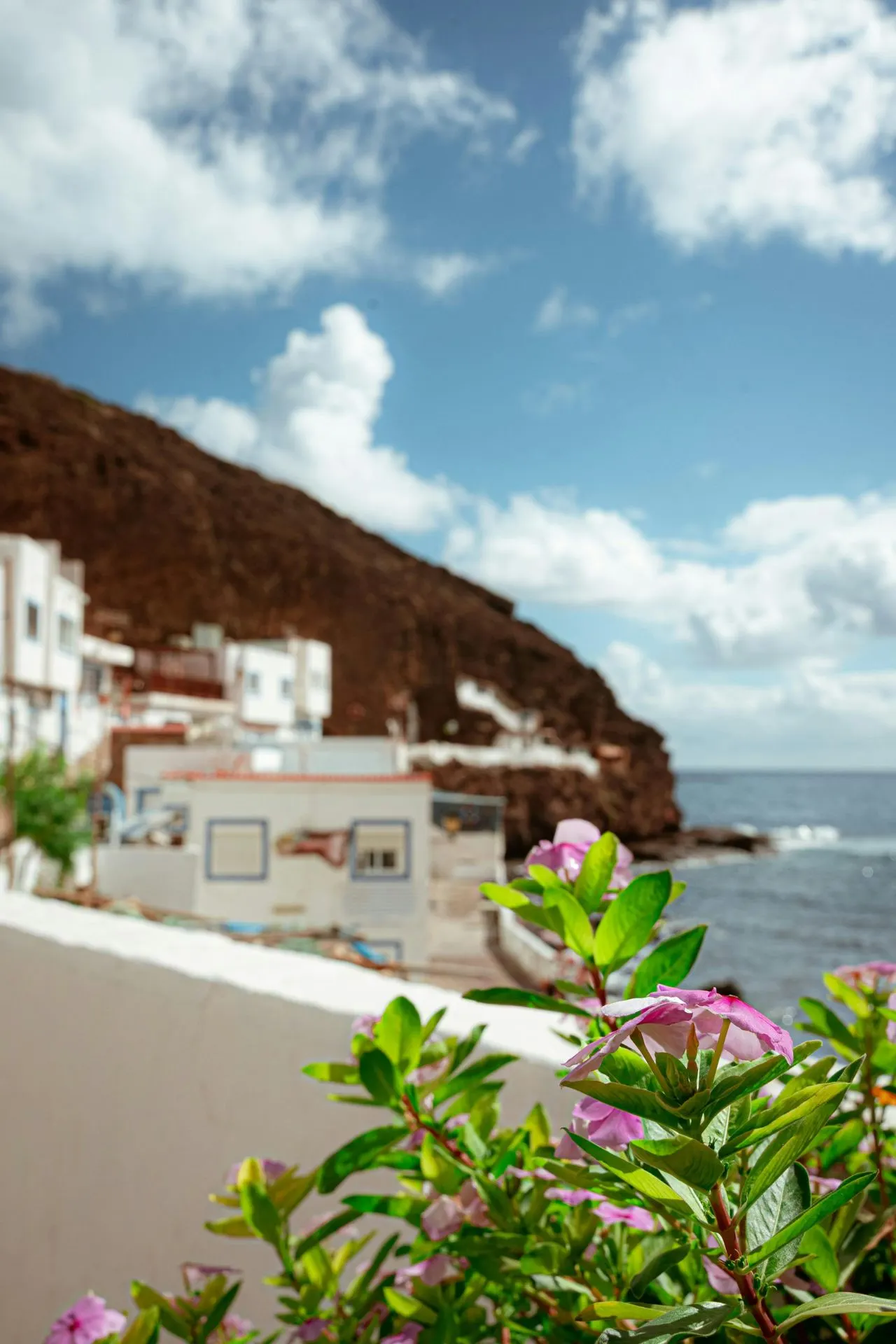 "Schilderachtig kustdorp aan de oceaan met witte huizen tegen een rotsachtige heuvel en helderblauwe lucht. Op de voorgrond bloeiende roze bloemen die zorgen voor een kleurrijk contrast. Perfecte bestemming voor een zonvakantie, strandwandeling en fotografie. Ontdek idyllische dorpjes, authentieke architectuur en adembenemende uitzichten aan zee. Ideaal voor reizigers die houden van natuur, cultuur en ontspanning in een mediterraan klimaat."