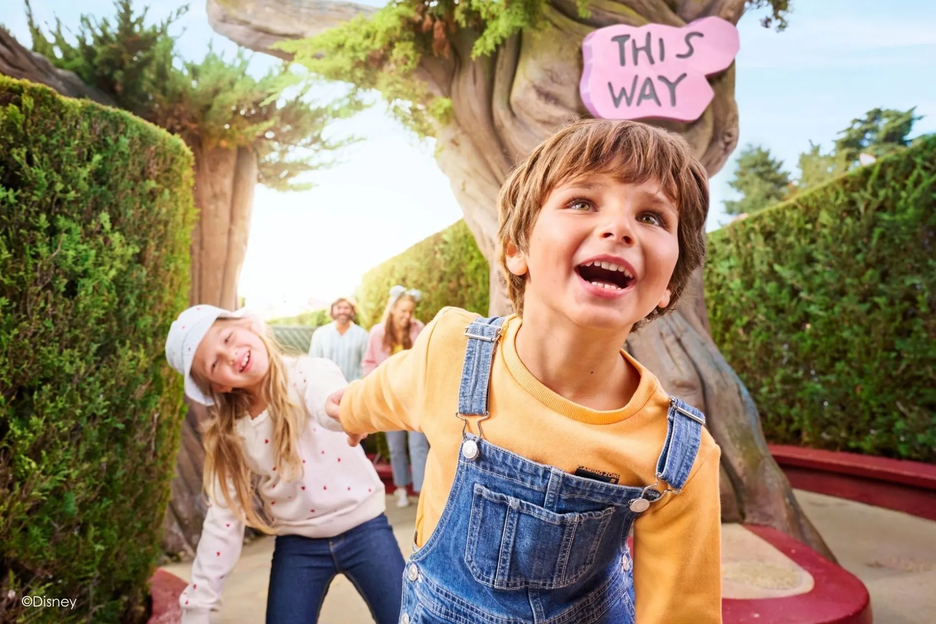 Blije kinderen rennen door het doolhof van Alice in Wonderland in Disneyland Parijs, omringd door sprookjesachtige heggen en fantasierijke borden. Beleef een magische vakantie naar Disneyland Parijs vol avontuur en ontdek de leukste attracties. Boek een Disneyland Parijs arrangement met hotel en entree inbegrepen voor een betoverend verblijf!