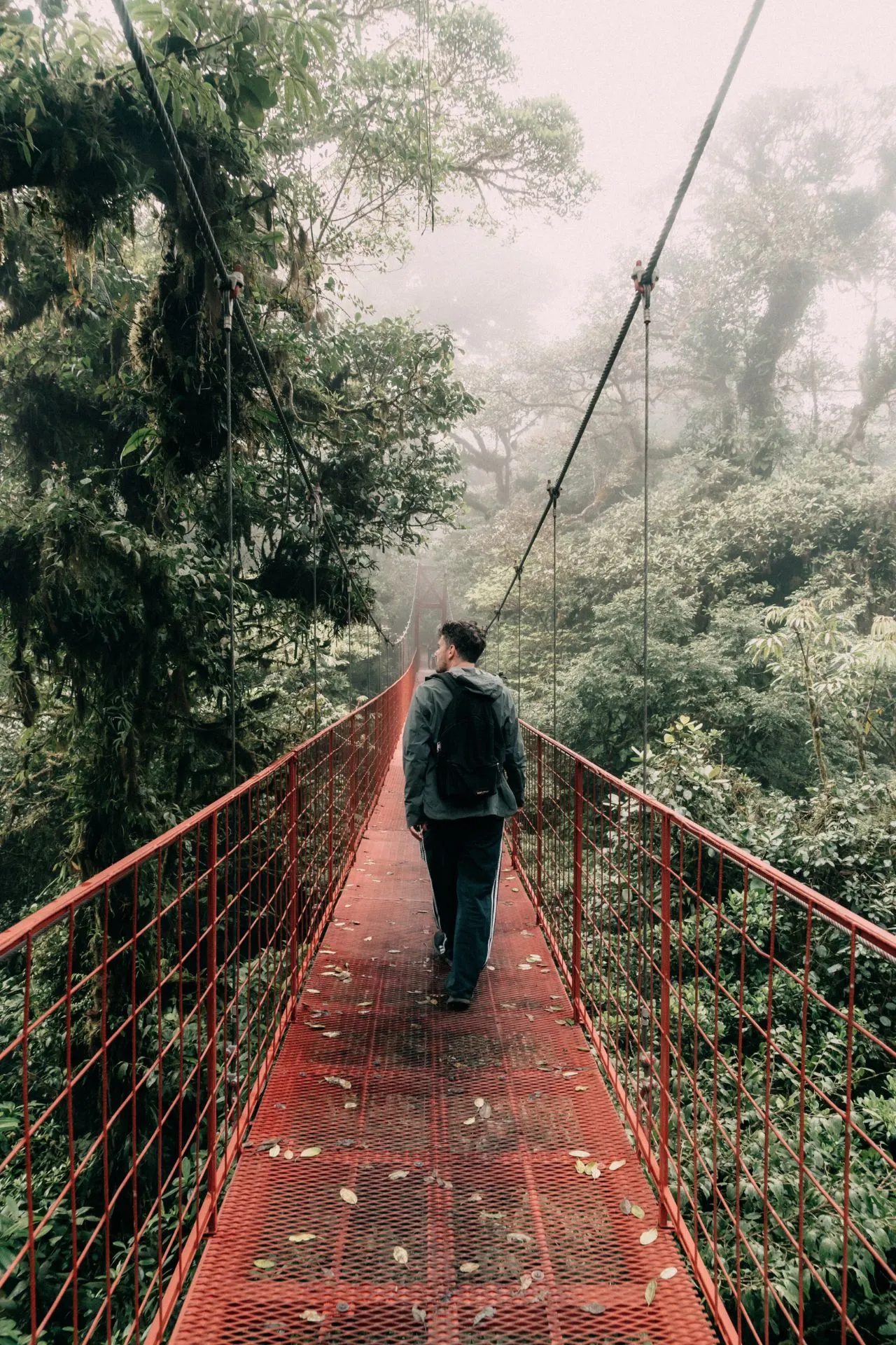De rode hangbrug in het nevelwoud van Monteverde, Costa Rica. Een man wandelt over de brug, omgeven door dichte, mistige jungle.
