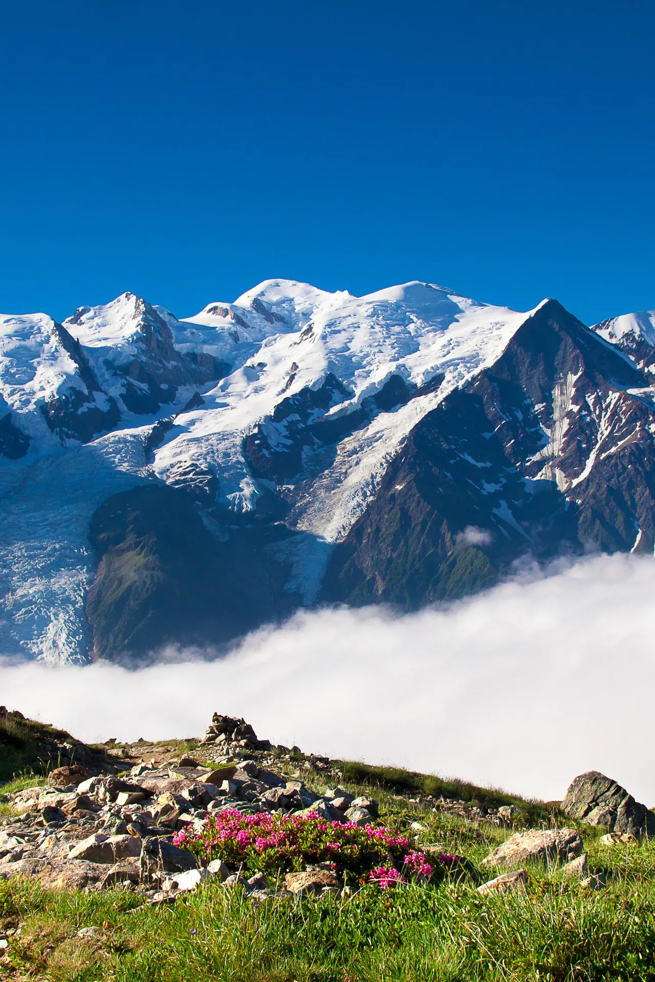  Adembenemend uitzicht op de Franse Alpen met imposante besneeuwde bergtoppen onder een heldere blauwe lucht. In de voorgrond liggen groene alpenweiden met kleurrijke bloemen, terwijl een laag wolken zacht tussen de bergen zweeft. Deze idyllische berglandschap foto straalt rust en natuurlijke schoonheid uit, ideaal voor wandelaars, natuurliefhebbers en reizigers die op zoek zijn naar avontuur in de Franse Alpen en genieten van spectaculaire panoramische vergezichten.