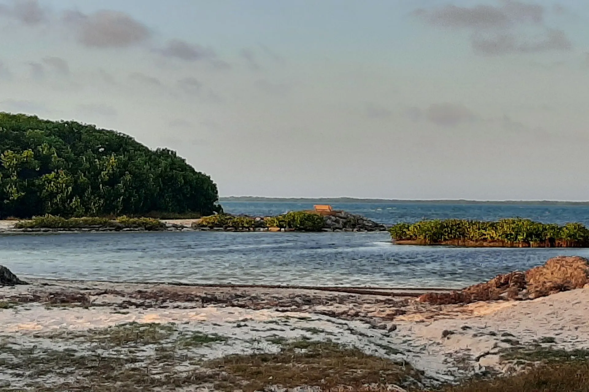 Rustige lagune op Bonaire met mangroven en helder water, omgeven door witte zandstranden en groene vegetatie. Deze natuurlijke omgeving is een belangrijk onderdeel van het ecosysteem van Bonaire en biedt een thuis voor diverse vogelsoorten en zeedieren. Perfect voor kajakken, natuurwandelingen en fotografie. Bonaire staat bekend om zijn ongerepte natuur, mangrovebossen en duurzame toerisme, waardoor het een paradijs is voor avonturiers en natuurliefhebbers.