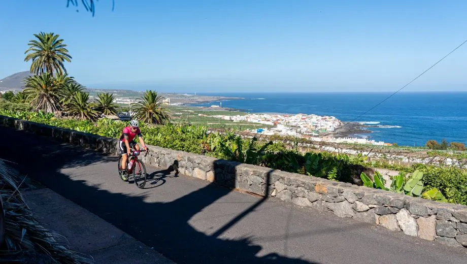 Fietser op een weg langs een groene vallei met palmbomen en uitzicht op de kust en een wit dorp aan zee op Tenerife.