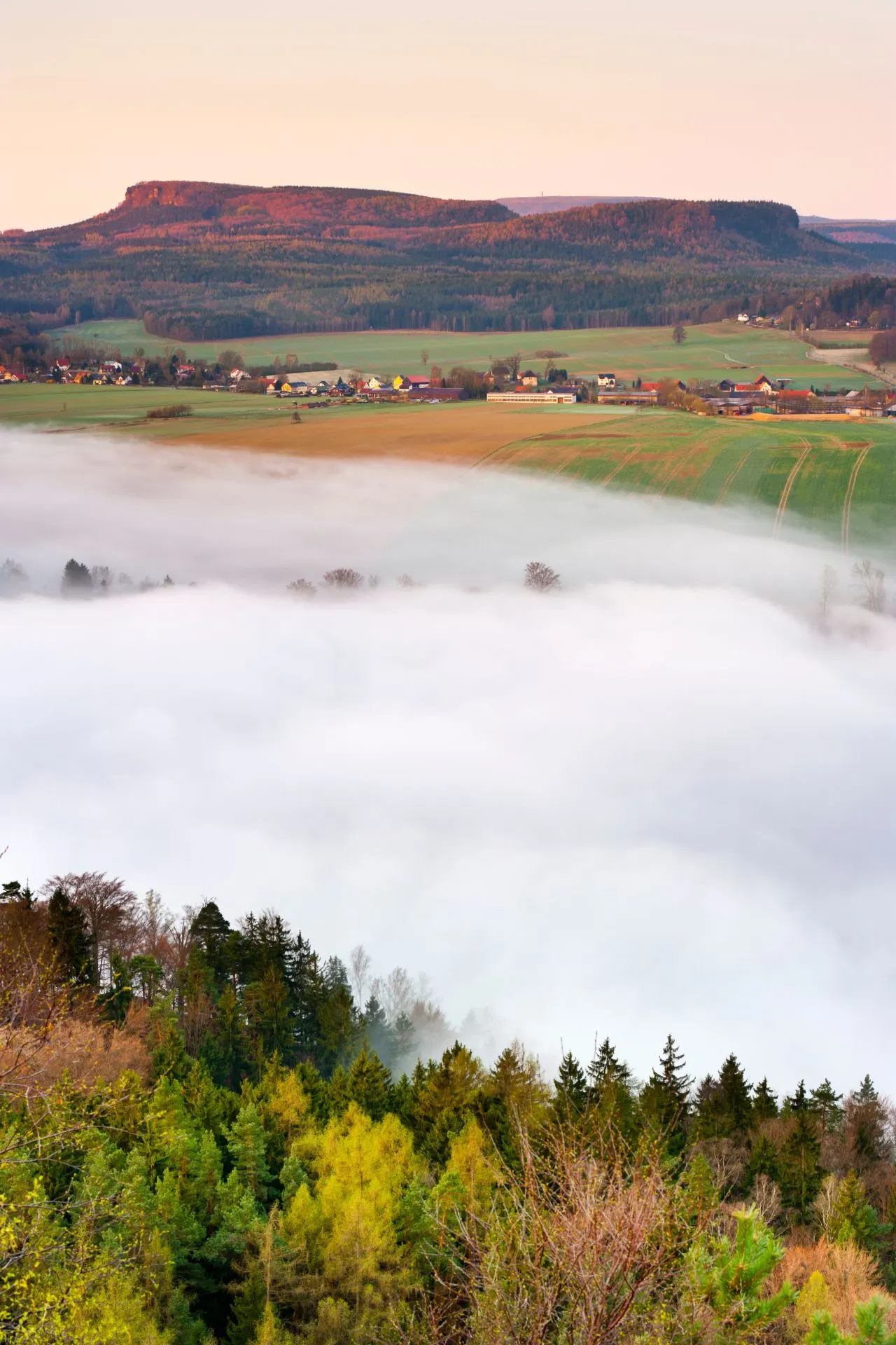 "Spectaculaire zandsteenrotsen in Saksisch Zwitserland Nationaal Park, Duitsland, omringd door groene bossen en mistige valleien. Deze iconische rotsformaties zijn een paradijs voor wandelaars, klimmers en natuurliefhebbers. Ontdek indrukwekkende uitzichten, schilderachtige wandelpaden en de natuurlijke schoonheid van het Elbezandsteengebergte, een van de mooiste bestemmingen in Oost-Duitsland."