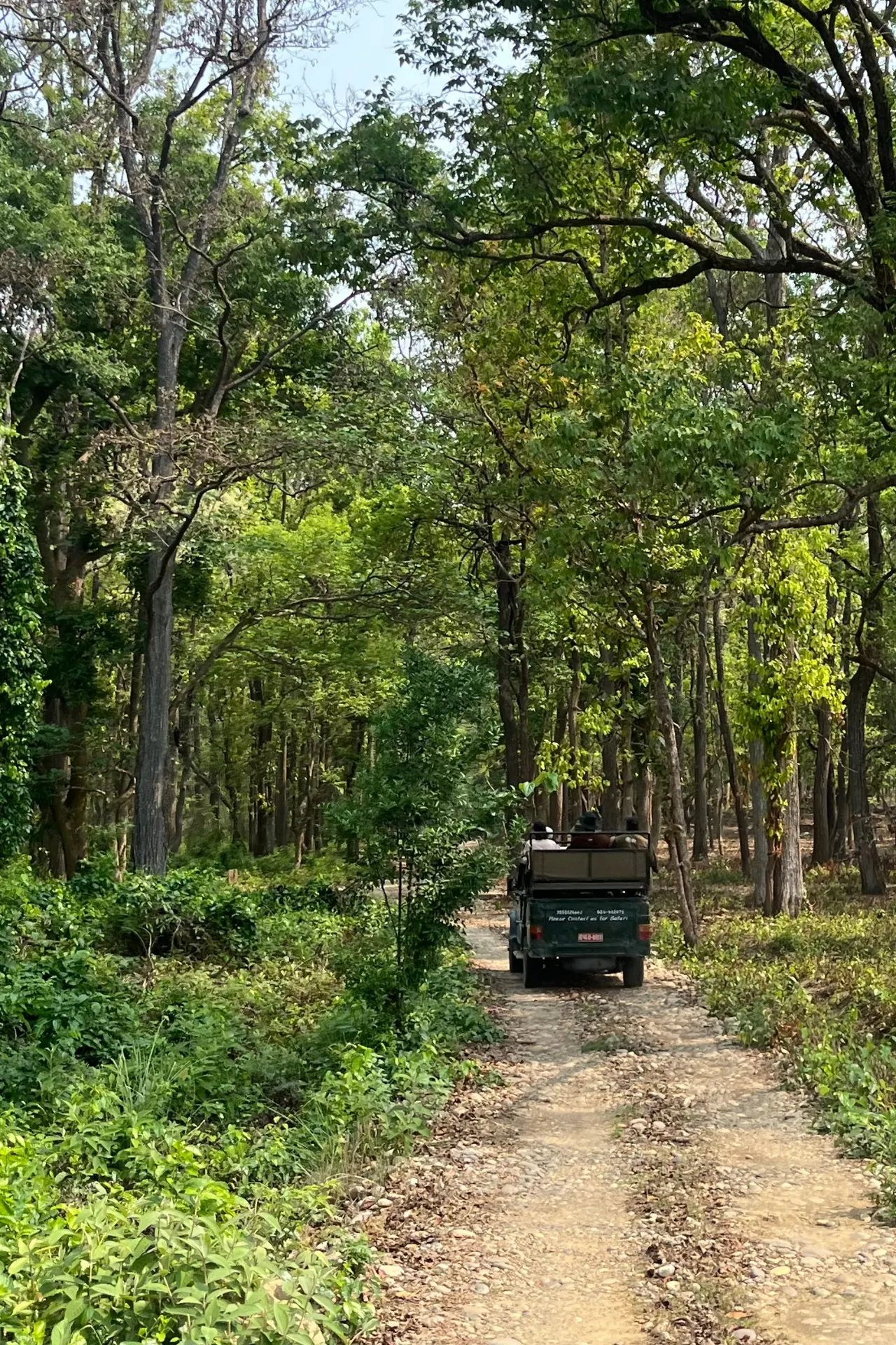 Natuurfoto Nepal van Studiereis Martje