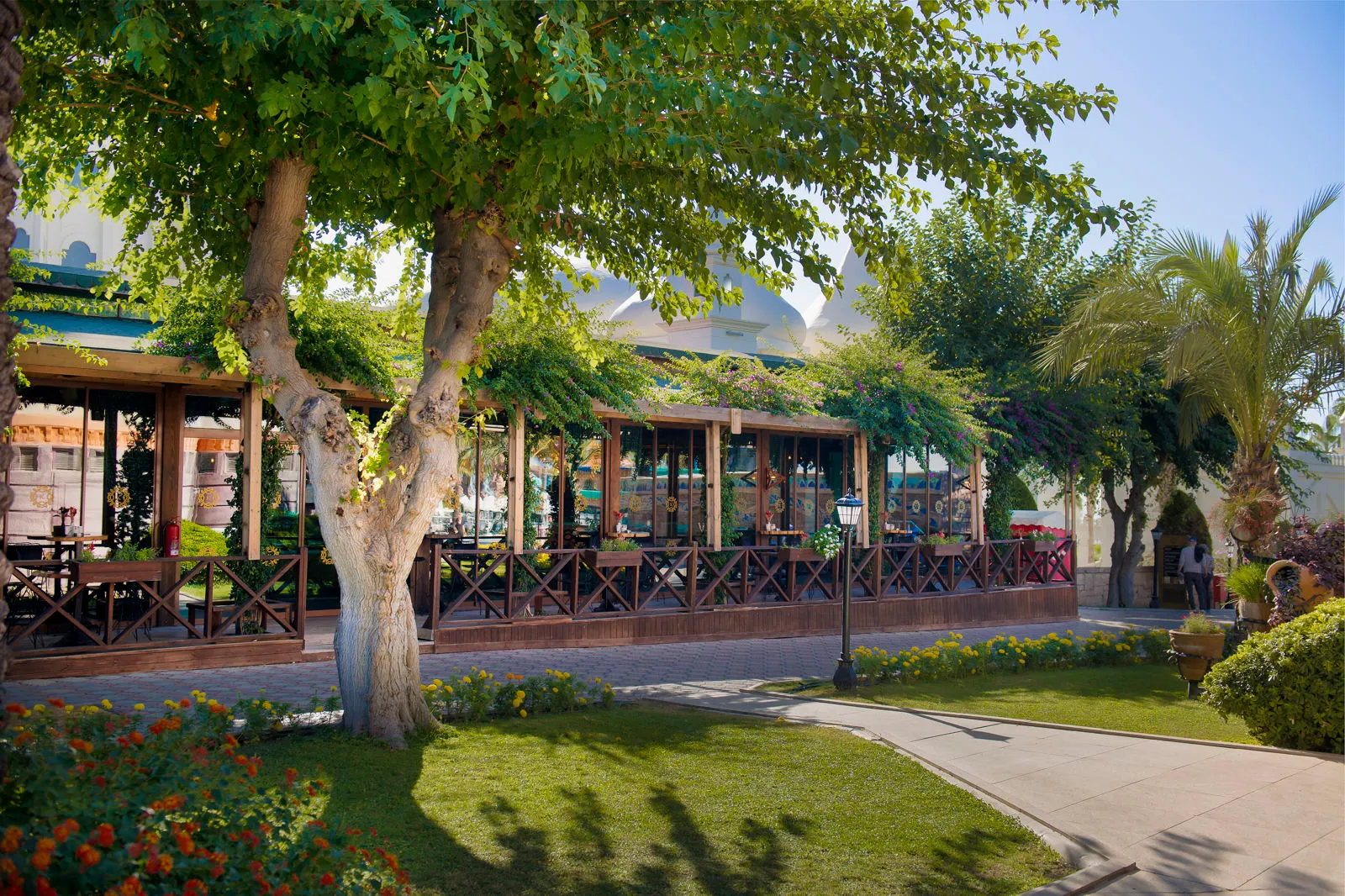 Kamelya Aishen K Club