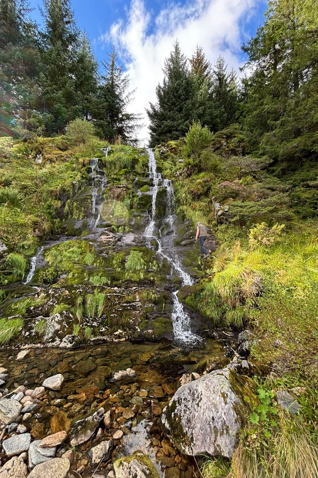 Kleine waterval stroomt langs een met mos bedekte rotswand in een groene bosrijke omgeving. Op de voorgrond liggen stenen en een ondiepe beek, terwijl hoge dennenbomen de achtergrond vullen onder een deels bewolkte blauwe lucht.