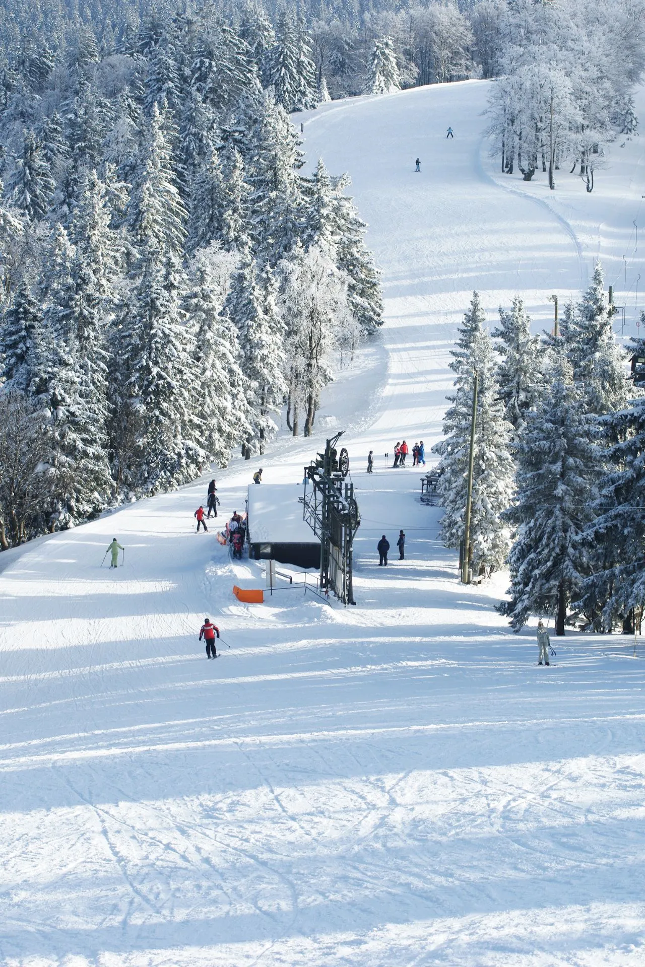 Gezellige Oostenrijkse skiberg met skiërs op de piste, omringd door besneeuwde dennenbossen en een sfeervolle bergomgeving.